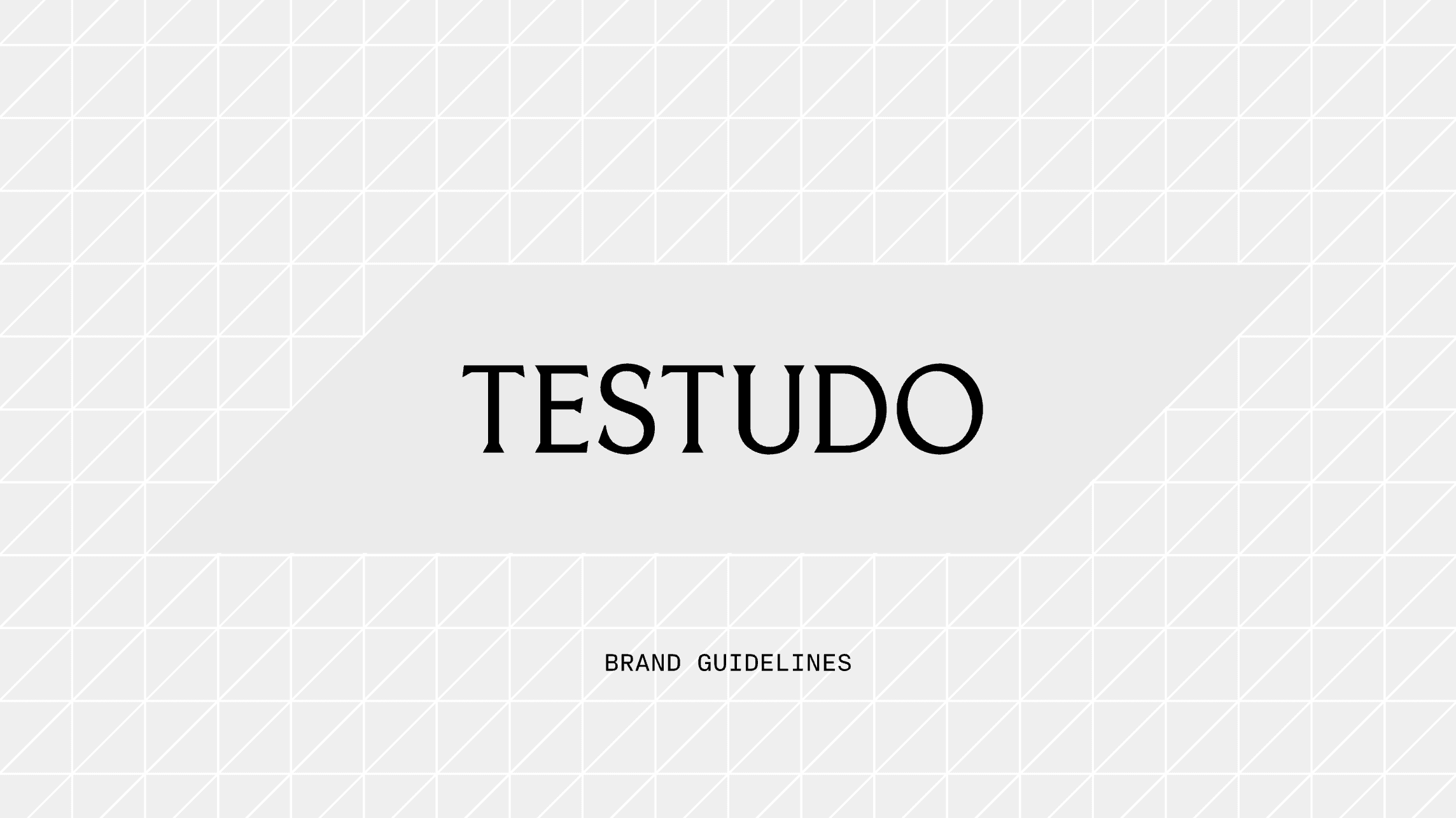 Testudo brand guidelines
